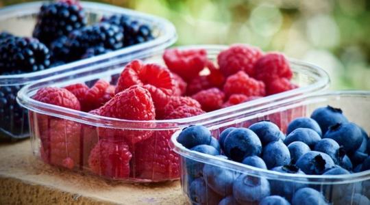 15 eurós minimálbér óránként? Kivételt kérnek a kertészek 15 eurós minimálbér óránként? Kivételt kérnek a kertészek