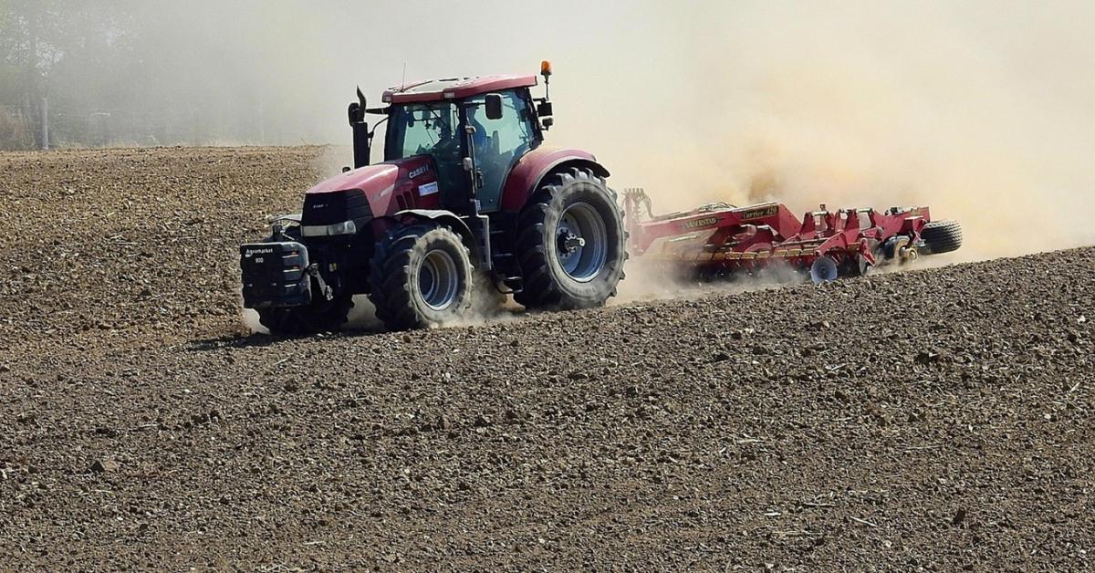Veszélyben a termés az Alföldön – Esőért fohászkodnak a békési gazdák