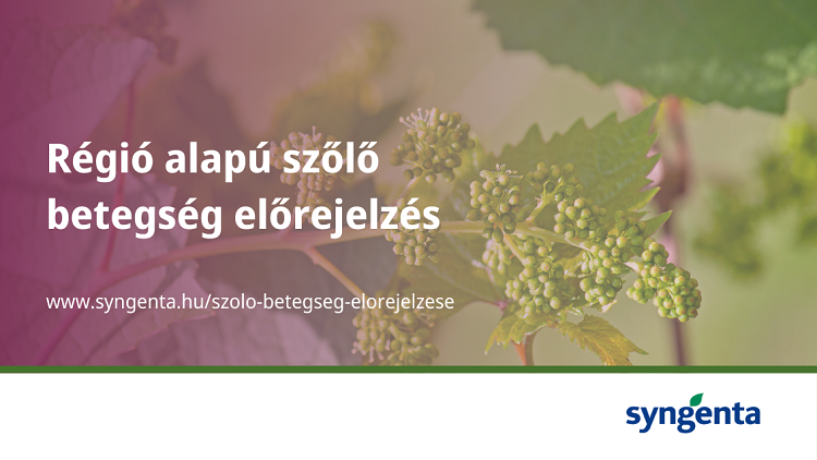syngenta