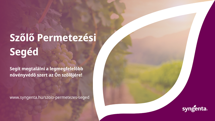 syngenta