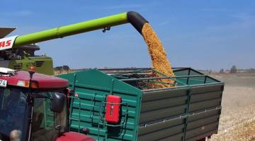 Mi vár a kukoricára 2025-ben? Mi vár a kukoricára 2025-ben?