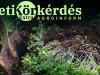 Zöldtrágya- és takarónövény-mustra – Heti Körkérdés Extra
