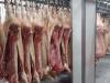 Döbbenetes mennyiségű élelmiszert vont ki a hatóság egy hajmáskéri üzemből
