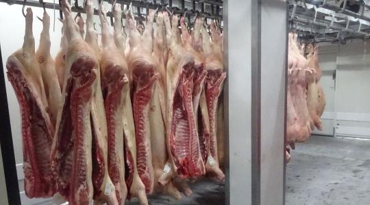 Döbbenetes mennyiségű élelmiszert vont ki a hatóság egy hajmáskéri üzemből