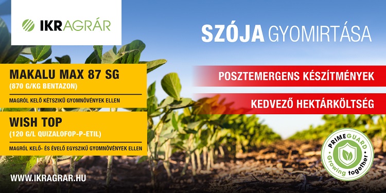 szója