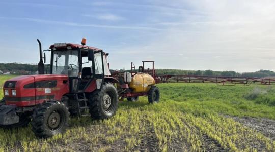Hétvégi időjárás: Jó időben reménykedtél? Hétvégi időjárás: Jó időben reménykedtél?