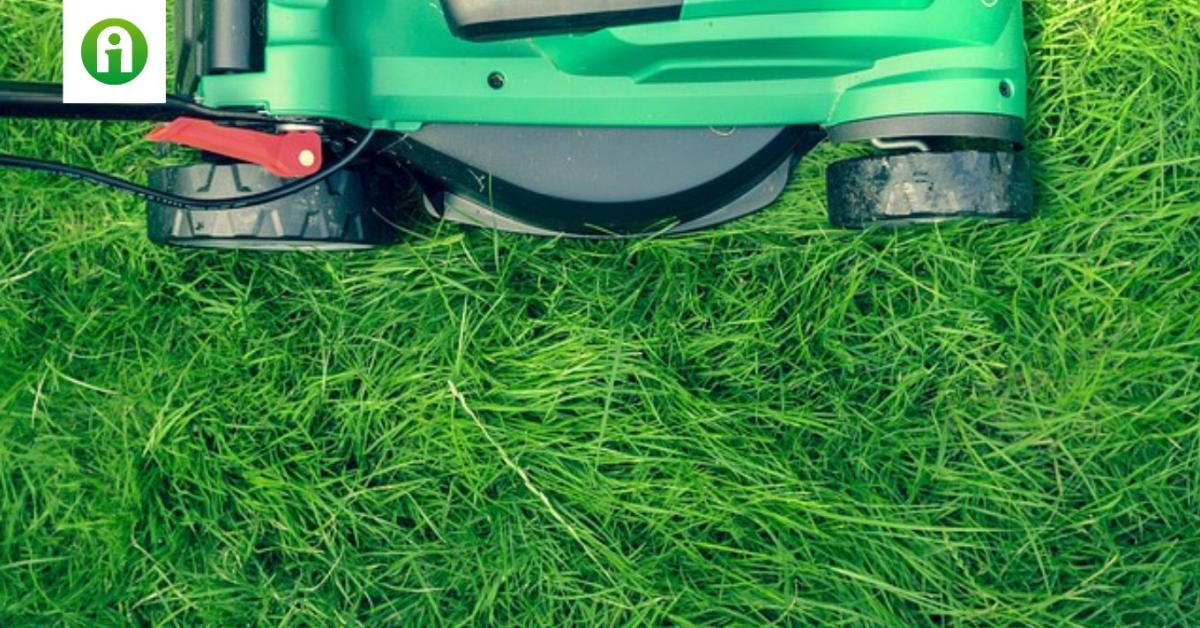Fűnyesedék a kertben – Így hasznosítsd okosan!