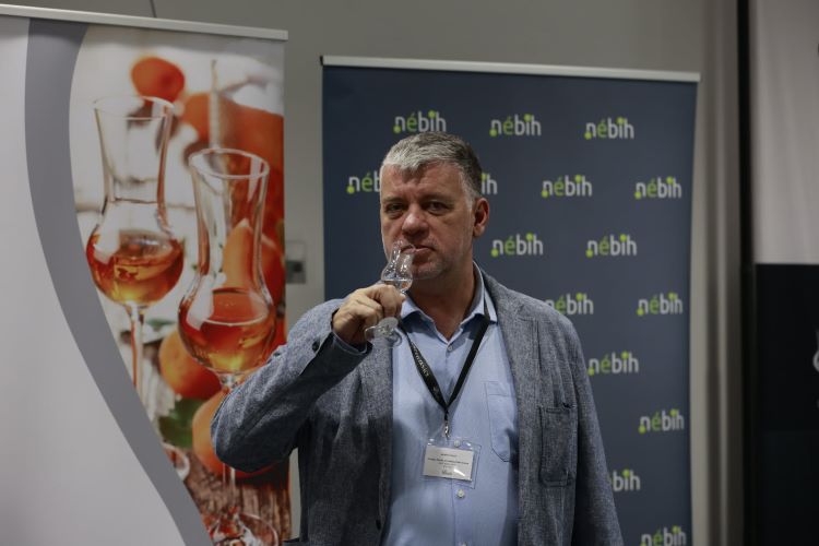 Mihályi László