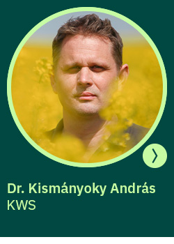 kws