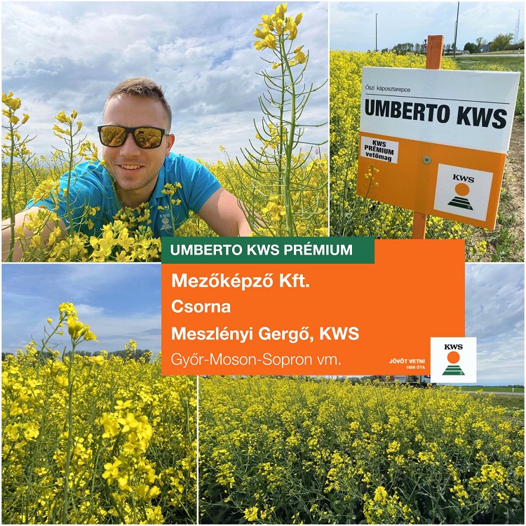 kws