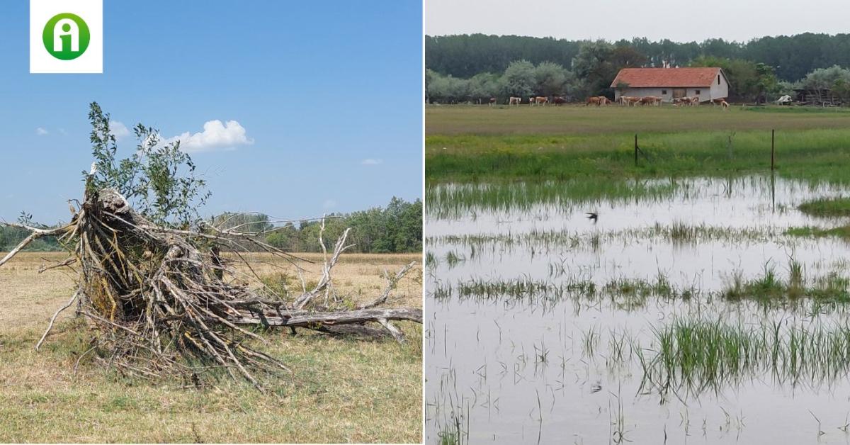 Van egy példa az országban, amely megmutatja, miért fontos a vízvisszatartás