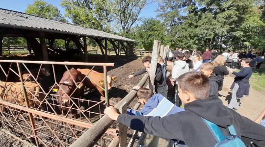 Pályaválasztás játékosan: jönnek a „Szakmakóstoló” agrártáborok Pályaválasztás játékosan: jönnek a „Szakmakóstoló” agrártáborok