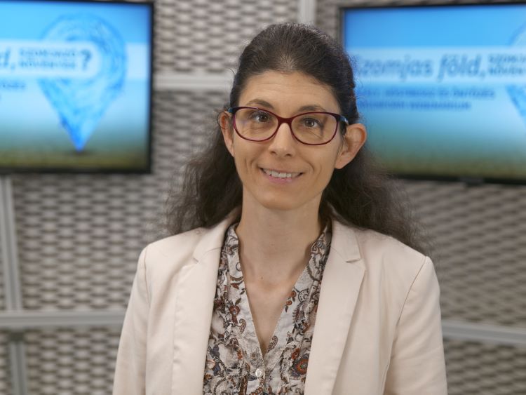 webinar