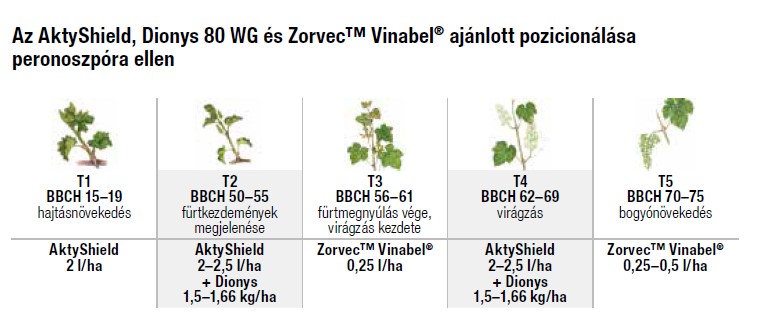 Kwizda gombaölő szer