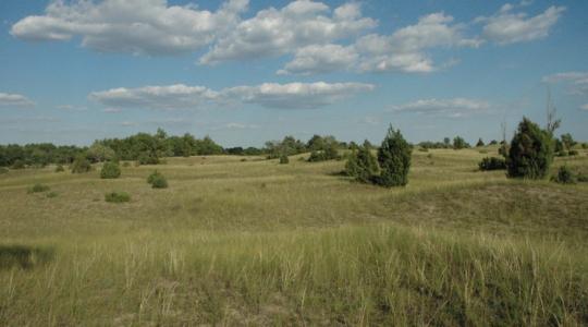 A tudósok figyelmeztetnek: végveszélyben a kiskunsági táj A tudósok figyelmeztetnek: végveszélyben a kiskunsági táj