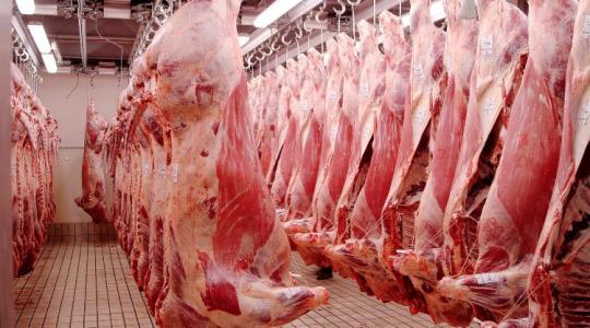 Mínuszban a búza, pluszban a kivitel – meglepő trendek a földekről Mínuszban a búza, pluszban a kivitel – meglepő trendek a földekről