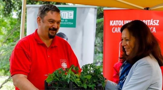 MATE: 4,5 millió forintos palántaadománnyal segítik a rászorulókat