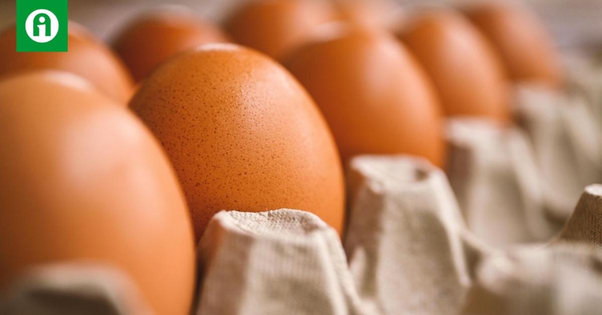 Ukrán tojásözön várható – mit jelent ez Magyarország számára?