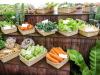 Hazai superfoodok: itt vannak a májusi csodazöldségek és -gyümölcsök