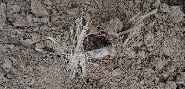 natur agro