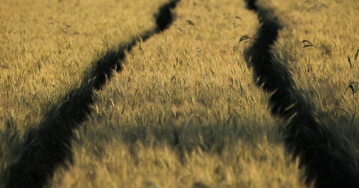 Könnyebb földhasználat: mi is az a többlethasználati megállapodás?