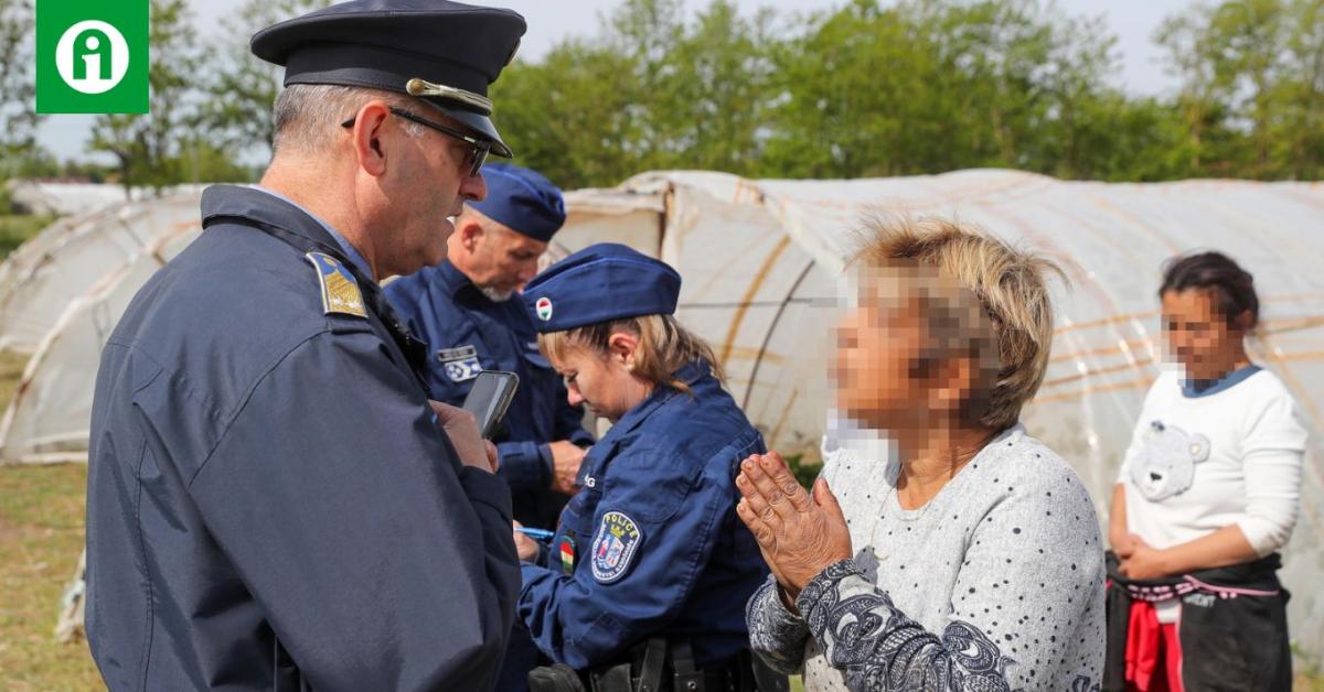 Megszállták a hatóságok az eperföldeket! Vajon miért?
