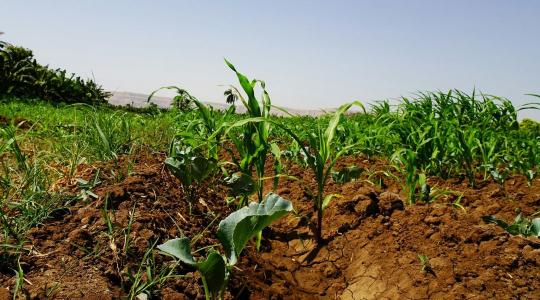 Totális újratervezés kell? Így nem bírja sokáig a magyar agrárium