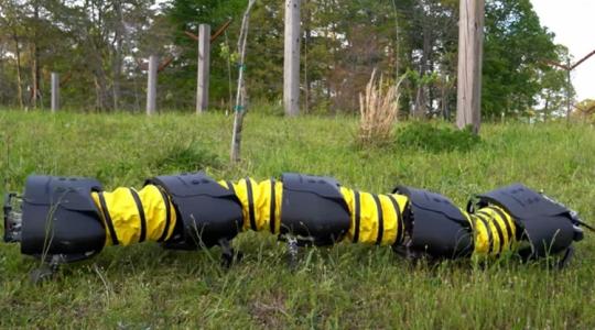 Százlábú robotok forradalmasítják a gyomirtást +VIDEÓ