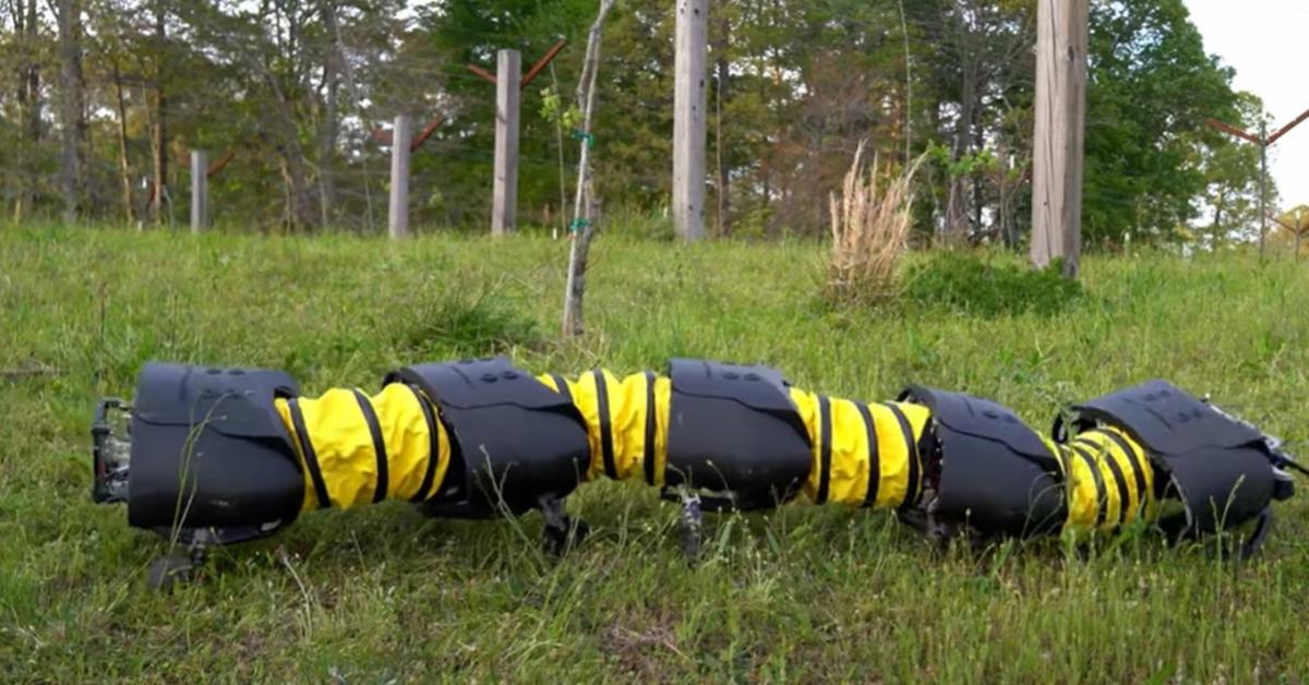 Százlábú robotok forradalmasítják a gyomirtást +VIDEÓ