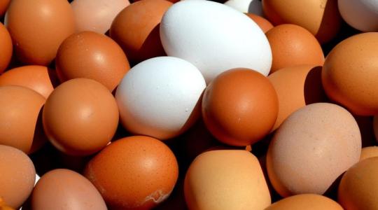 Brüsszel visszahúzza a féket: új korlátok az ukrán agrárexportra Brüsszel visszahúzza a féket: új korlátok az ukrán agrárexportra