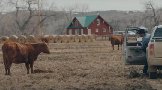 Tudni akarod, hogyan élnek az amerikai kollégák? Akkor ez a film neked való! +VIDEÓ Tudni akarod, hogyan élnek az amerikai kollégák? Akkor ez a film neked való! +VIDEÓ