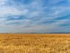 Multik és olcsó termékek – így boríthatja fel az EU agrárpiacát Ukrajna