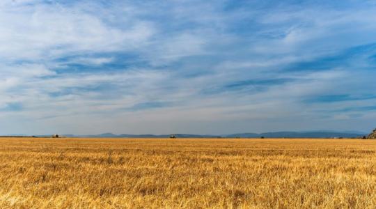 Multik és olcsó termékek – így boríthatja fel az EU agrárpiacát Ukrajna Multik és olcsó termékek – így boríthatja fel az EU agrárpiacát Ukrajna
