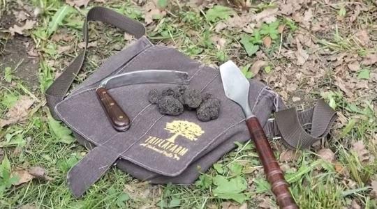  Egy farm, ahol minden nap kincset keresnek + VIDEÓ