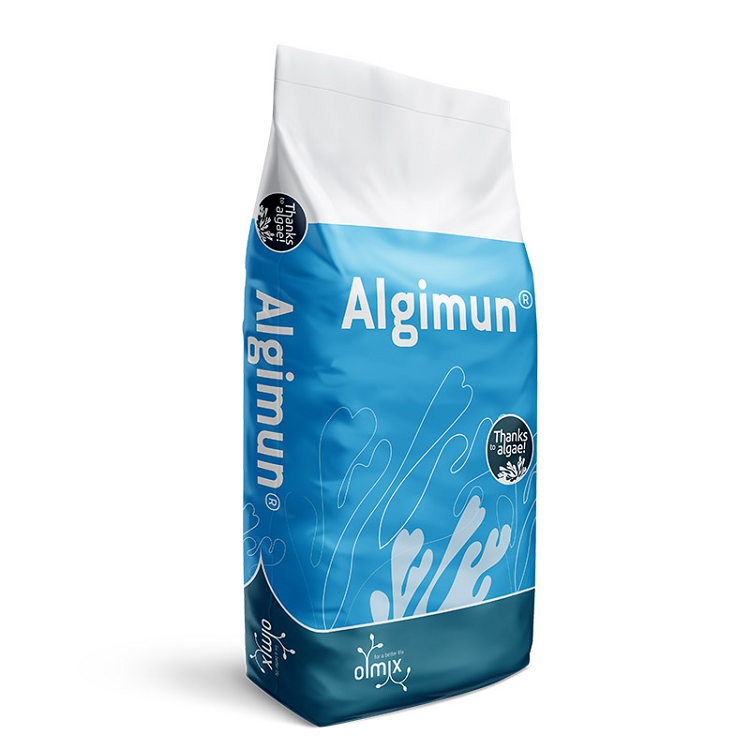 alga