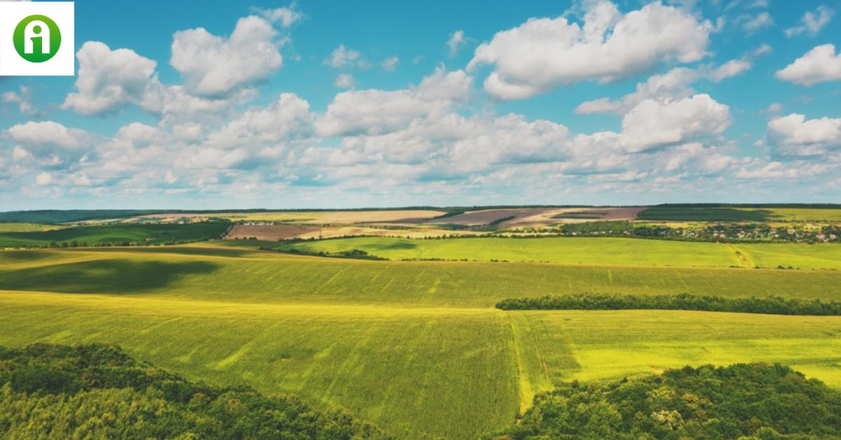 Vigyázz! Nem mindig jó, ha esik!