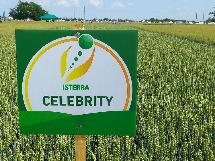 CELEBRITY