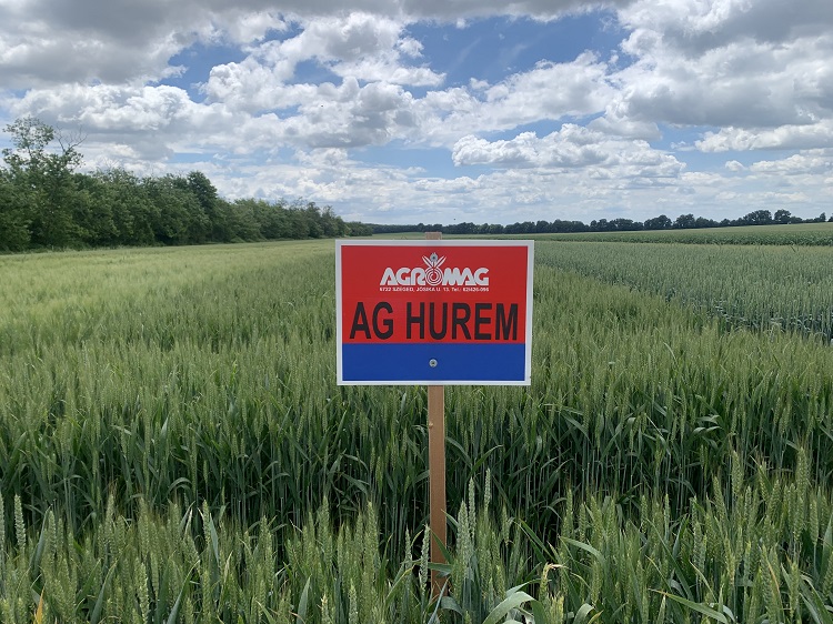 AG Hurem 
