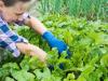 Innovatívak, takarékosak, zöldek – ilyenek a női agrárvállalkozások