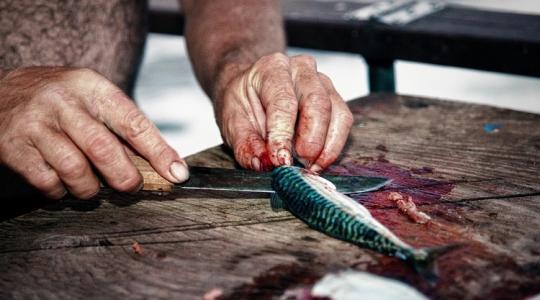 Leleményes horgász: Így aztán gyerekjáték a halpikkelyezés +VIDEÓ Leleményes horgász: Így aztán gyerekjáték a halpikkelyezés +VIDEÓ