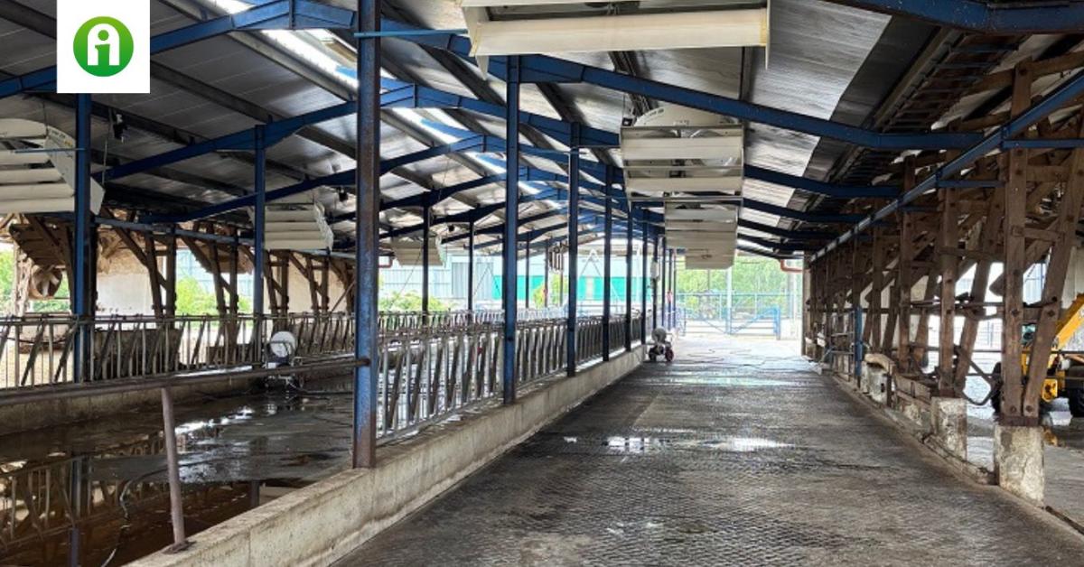 Teljes állományveszteség után újrakezdés – példaértékű kitartással Teljes állományveszteség után újrakezdés – példaértékű kitartással