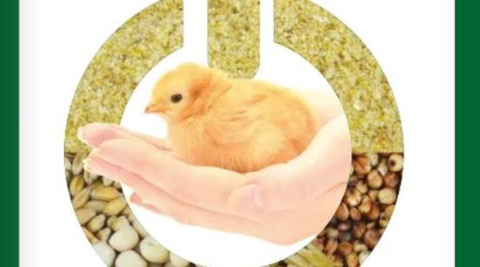 Egy csippantás a jóból – tudd meg, mi ez!