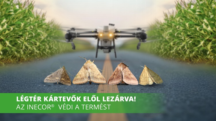 szántóföld