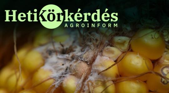 Halaszthatatlan beavatkozások a szántóföldeken – Heti Körkérdés