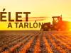 Élet a tarlón! Agroinform webinárium