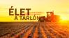Élet a tarlón! Agroinform webinárium