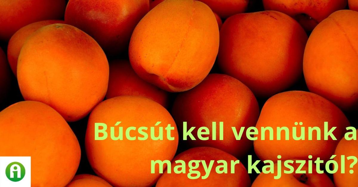 Búcsút inthetünk a kecskeméti kajsziból készült híres pálinkának?