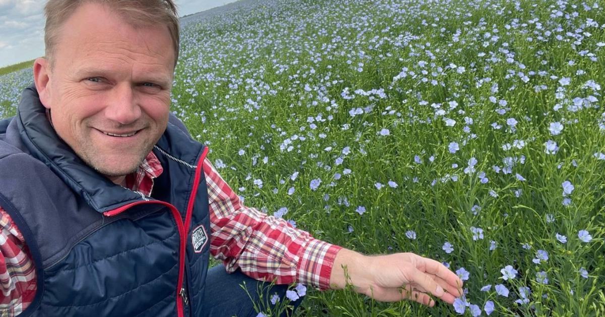 Olajlen: a növény, amit a legtöbb gazda alábecsül – pedig nem kellene Olajlen: a növény, amit a legtöbb gazda alábecsül – pedig nem kellene
