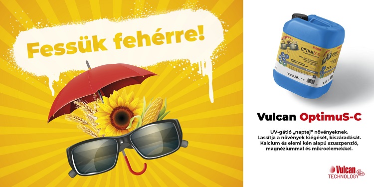 vulcanagro