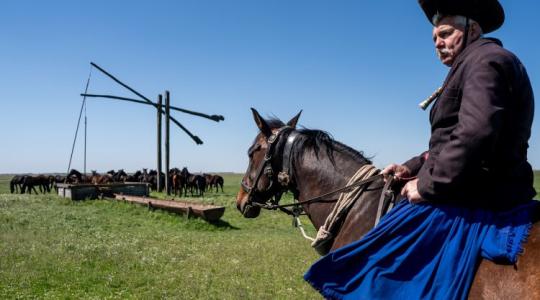 A puszta újraéled: lenyűgöző fotókon a hortobágyi kihajtás A puszta újraéled: lenyűgöző fotókon a hortobágyi kihajtás